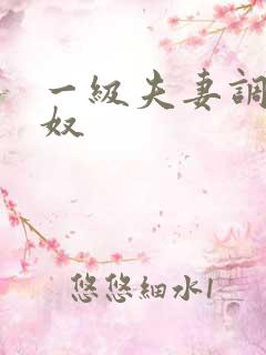 一级夫妻调教男奴