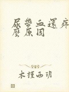 尿带血还疼是什么原因