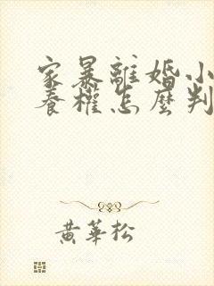 家暴离婚小孩抚养权怎么判