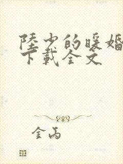 陆少的暖婚新妻下载全文