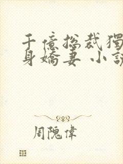 千亿总裁独宠替身娇妻 小说