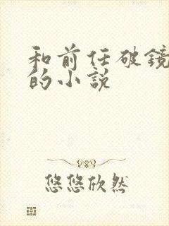 和前任破镜重圆的小说