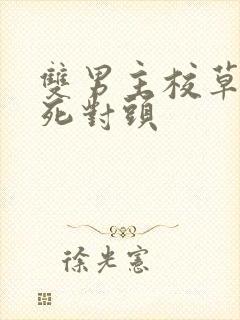 双男主校草校霸死对头