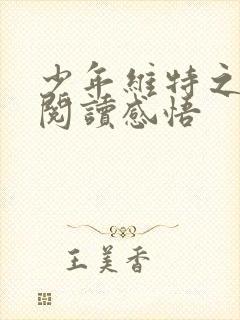 少年维特之烦恼阅读感悟