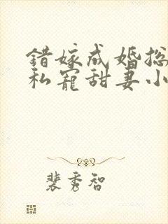 错嫁成婚总裁的私宠甜妻小说完整版