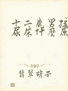 十二岁男孩夜里尿床什么原因