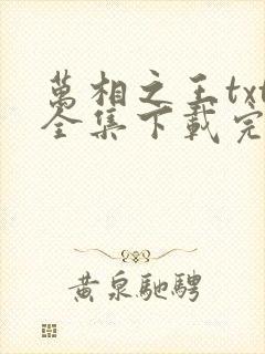 万相之王txt全集下载完本