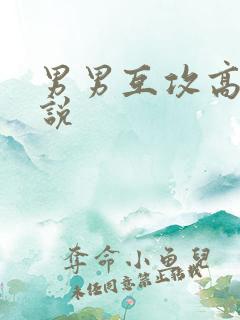 男男互攻高h小说