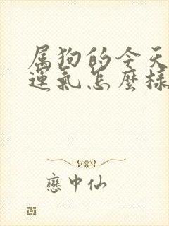 属狗的今天打牌运气怎么样1982