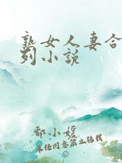 熟女人妻合集系列小说