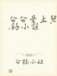 公公爱上儿媳妇,的小说