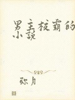 男主校霸的校园小说