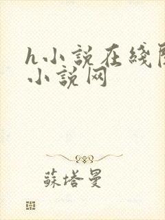 h小说在线阅读小说网