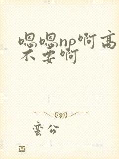 嗯嗯np啊高h不要啊