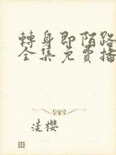 转身即陌路短剧全集免费播放下载