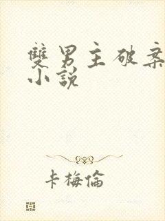 双男主破案刑侦小说