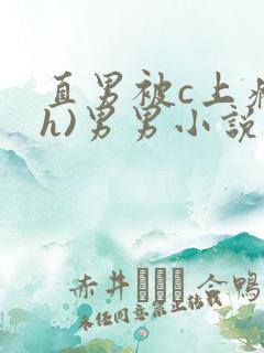 直男被c上瘾(h)男男小说单性