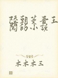 陆朝菱晋王周时阅的小说