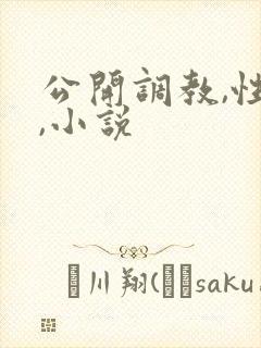 公开调教,性虐,小说