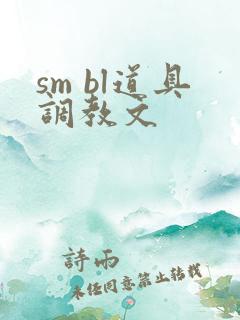 sm bl道具调教文