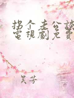 拐个老公谈恋爱电视剧免费观看