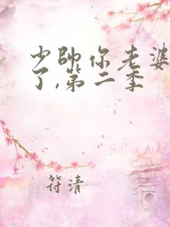 少帅你老婆又跑了,第二季