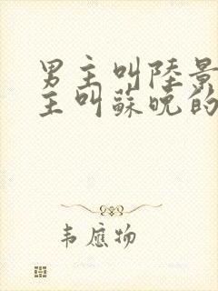 男主叫陆景川女主叫苏晚的小说