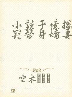 小说千亿总裁独宠替身娇妻