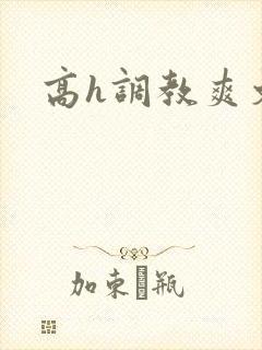 高h调教爽文