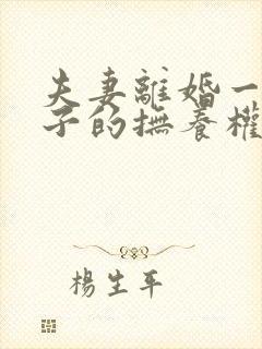 夫妻离婚一个孩子的抚养权归谁