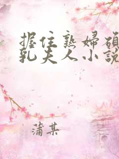 握住熟妇硕大双乳夫人小说