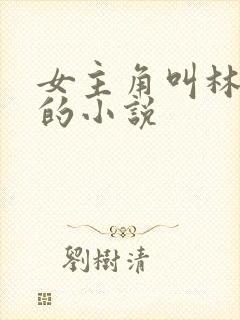 女主角叫林浅浅的小说