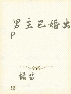 男主已婚出轨np