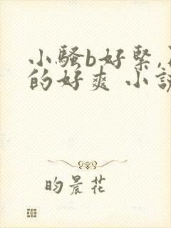 小骚b好紧,日的好爽 小说