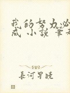 我的努力必有所成 小说 笔趣阁