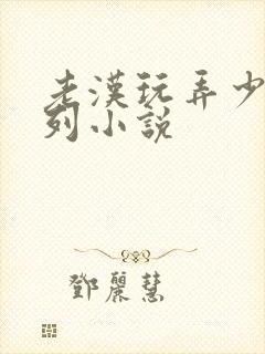 老汉玩弄少妇系列小说