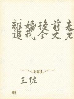 离婚后前夫总想追我全文免费阅读