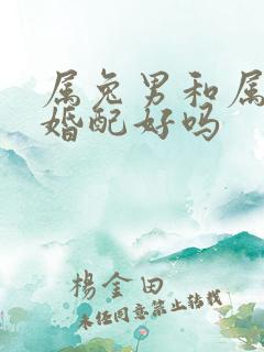 属兔男和属马女婚配好吗