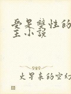 受是双性的双男主小说