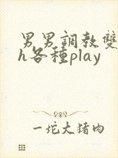 男男调教双性高h各种play