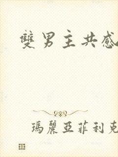 双男主共感高干