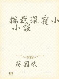 总裁深宠小甜妻 小说