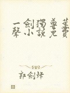 一剑独尊叶玄有声小说免费听