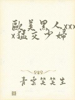 欧美黑人xxxx猛交少妇