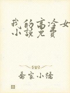 我的高冷女总裁小说免费