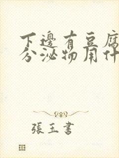 下边有豆腐渣的分泌物用什么药