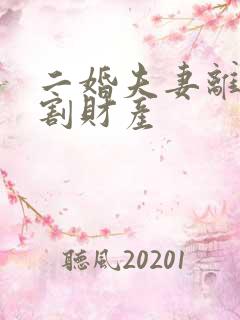 二婚夫妻离婚分割财产