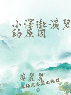 小泽彻演儿媳妇的原因