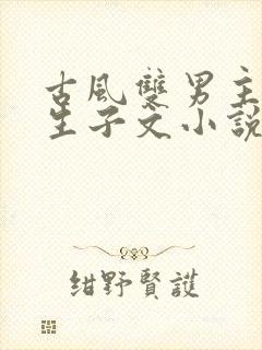 古风双男主超虐生子文小说
