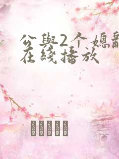 公与2个媳乱理在线播放